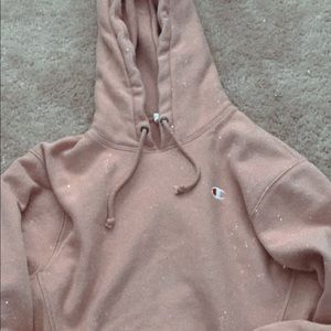Champion reverse weave cropped hoodie